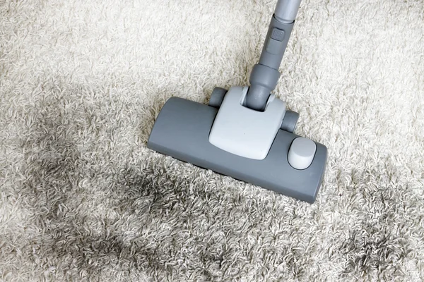 Professional carpet cleaning