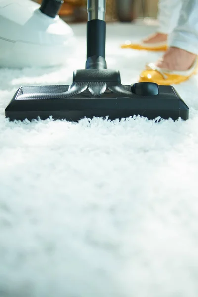 Area Rug Cleaning